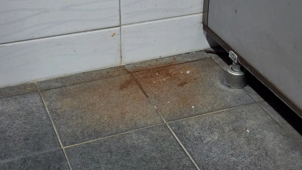 루긴오프 사용전